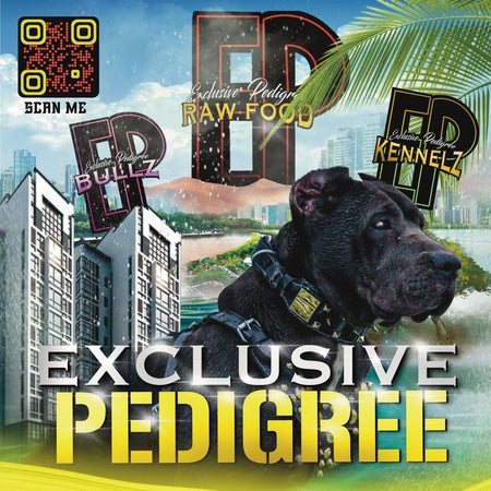Exclusive Pedigree
