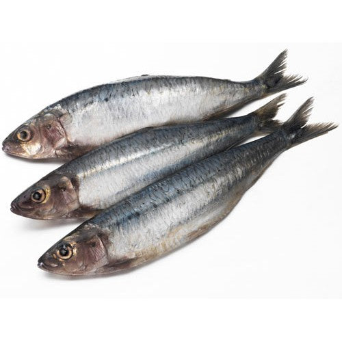 Sardines 1kg