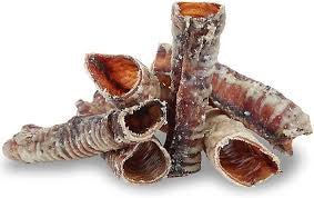 Trachea (empty)