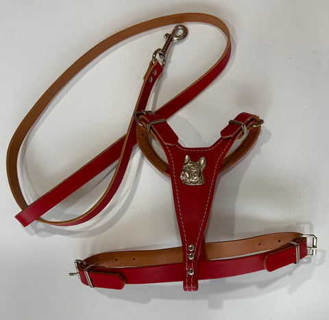 French bulldog leather harness and lead set
