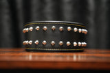 Leather Studded collar